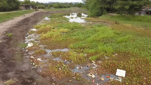 El río se llena de basura.