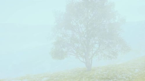 Panoramic Landscape with Lonely Tree Among Green Hills
