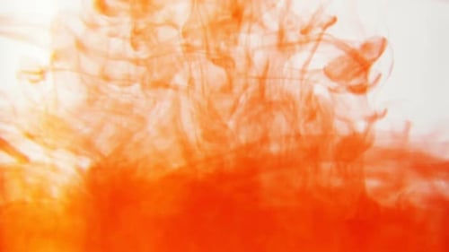 Ink clouds moving through water. White background and orange