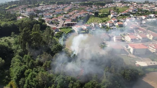 Aerial view of firefighters extinguishing fire in Forest area.