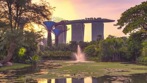 Singapore illumination with Night light show at Supertree,