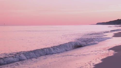 Sea