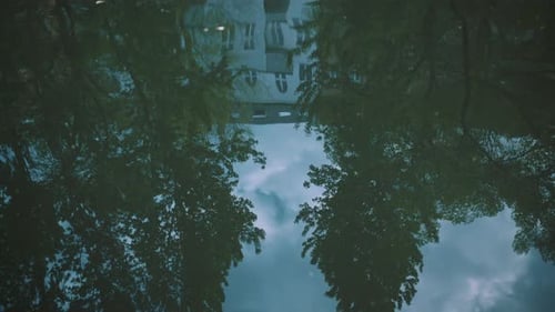 Abstract Reflections of Trees and Building in Water