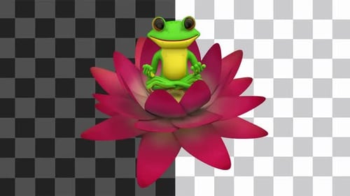Frosch Lotuspose Meditation