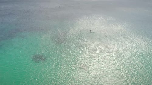 Aerial view of a man on a stand up paddle board in the sea