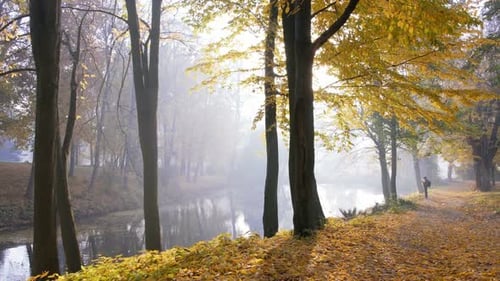 Parque de otoño