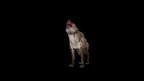 Realistic 3D Animated Hyena Howling on Transparent Background