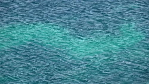 The Big Sea Water