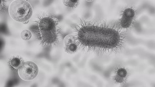 Peering inside a microorganism cell