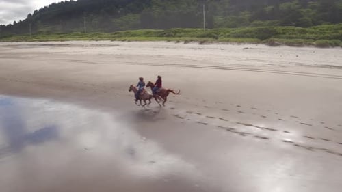 Aerial view of women riding horses at beach