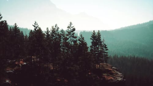 Misty Mountain Forest Landscape in the Morning