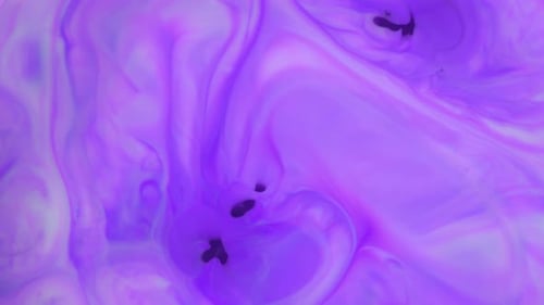 Abstract Swirling Purple, Black and White Colors