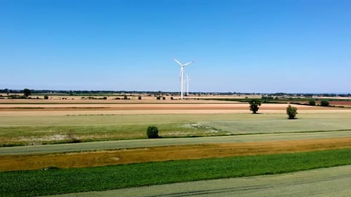 Wind Turbines Over Lush Green Farmland on Sunny Day