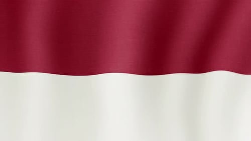 Seamless Loop of Waving Red and White Flag Background