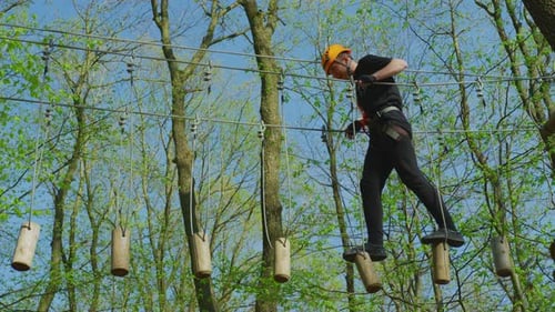 A high-ropes course in an adventure park