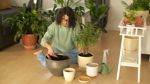 Hobby and Interior Concept