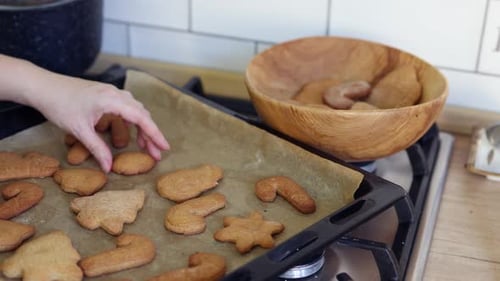 Person Arranges Baking Sheet of Holiday Cookies