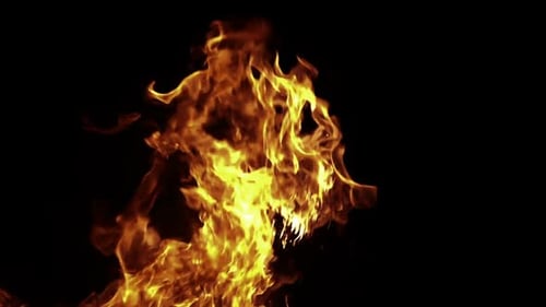 Feuerlinie 14