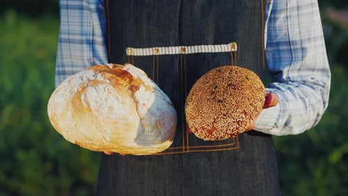 Person Holding Two Loaves of Freshly Baked Bread