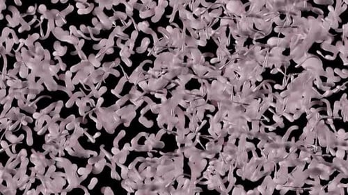 elementary life forms . observation of an unknown life form background animation
