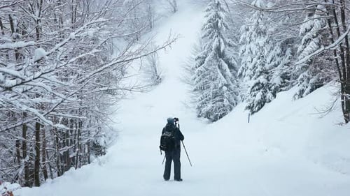 The Photographer Shoot a Mountain Forest in the Carpathians in Rainy and Snowy Weather