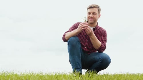 Man Farmer Working in the Field Inspects the Crop Wheat Germ Natural a Farming