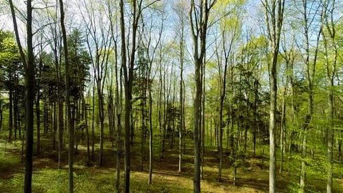 Colorful Nature Environment Ecology Outdoors Fall Season Background