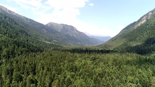 Aerial Panorama of Wild Forest and Mountains