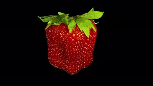 Rotierende isolierte Erdbeeren