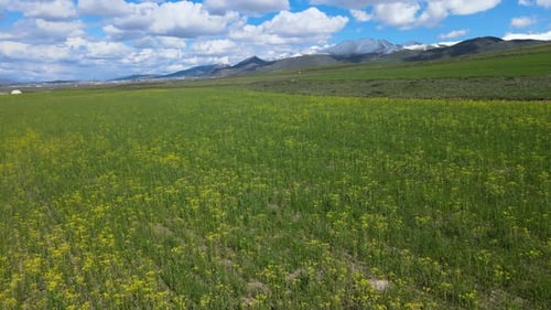 landscape fields nature