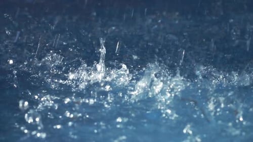 Water