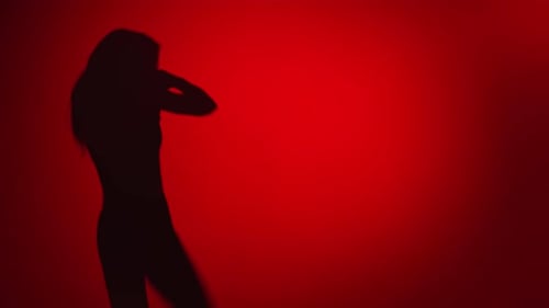 Silhouette Woman Practicing Martial Arts Kicks and Punches