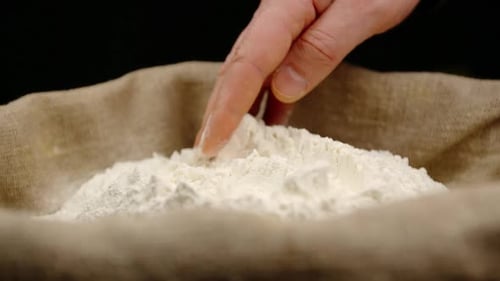 Hand Testing Flour Quality in Burlap Sack