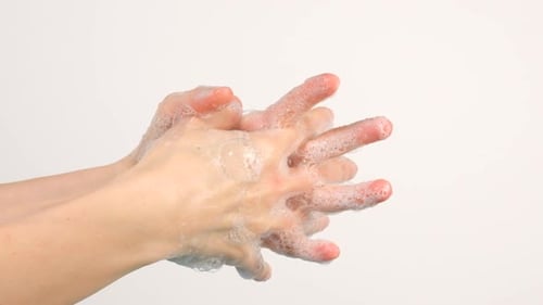 Soapy Hands Rubbing Together, Close Up
