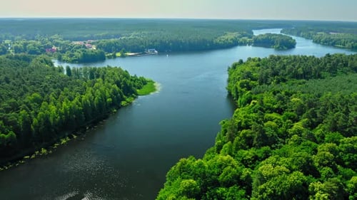 Big river between green forests. Aerial view of nature, Poland.
