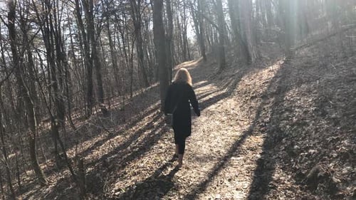 Woman on pathway leading through forest 4K 2160p 30fps UltraHD footage - Female in the nature walkin