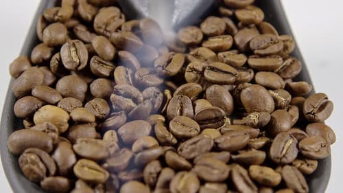 Fresh Roasted Coffee Beans Steaming Close Up