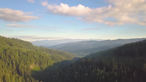 Aerial view of mountains covered with forest trees with blue sky above.