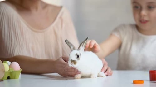 Mother and Daughter Loving Pet Rabbit Indoors