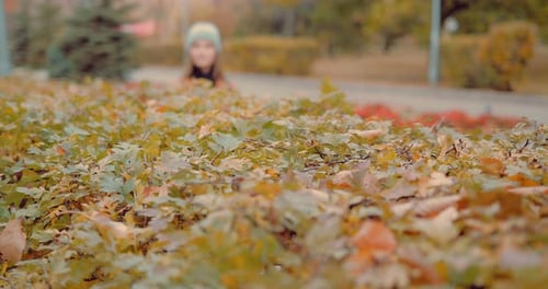 Girl Touches the Bushes in the Autumn Park