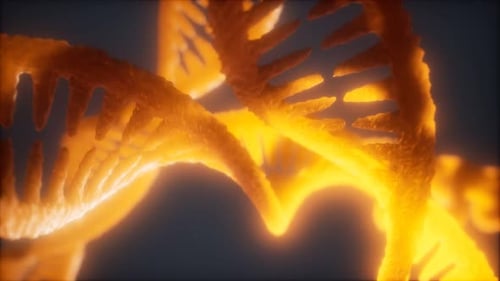 Loop Double Helical Structure of Dna Strand Close-up Animation