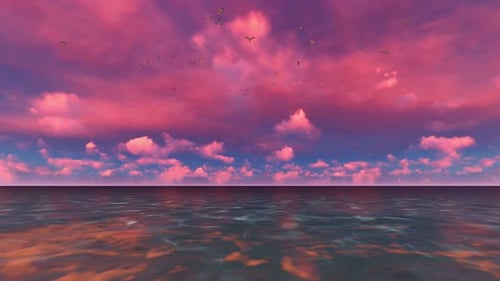 Seagulls Bird Fly Above The Sea At Sunset