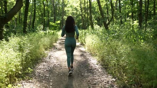 Walking in the Forest 31