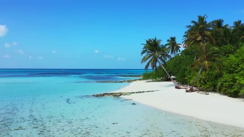 Aerial top view travel of luxury resort beach wildlife by blue ocean with white sand background of a