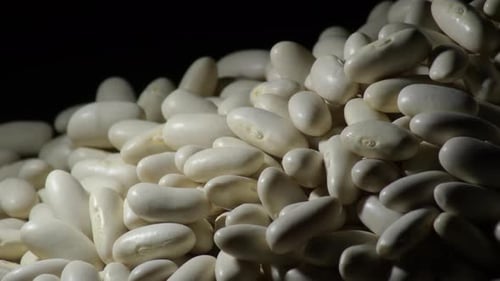 Raw White Beans Mountain