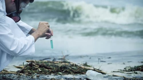 Scientist Examining Test Tube near Polluted Beach