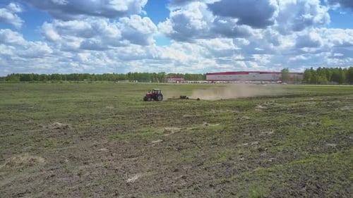 Tractor Operates on Field Birds Peck Grain on Sunny Day