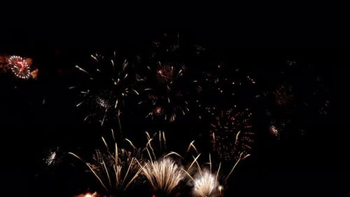 Nacht des Feuerwerks