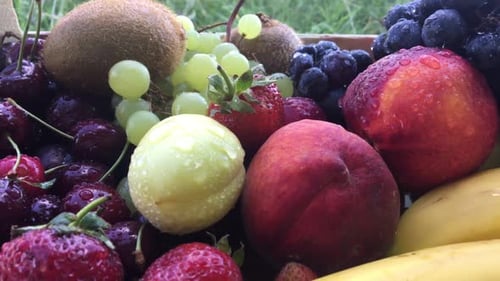 Fruit Sammlung Wide Shot