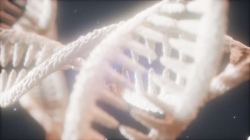 Double Helical Structure of Dna Strand Close-up Animation